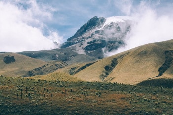 Parc national Los Nevados en Colombie