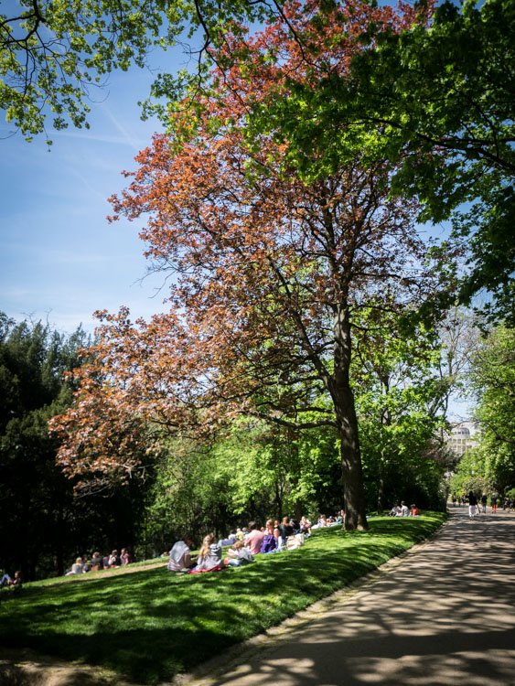 arbres colorés au parc des buttes-chaumont à paris