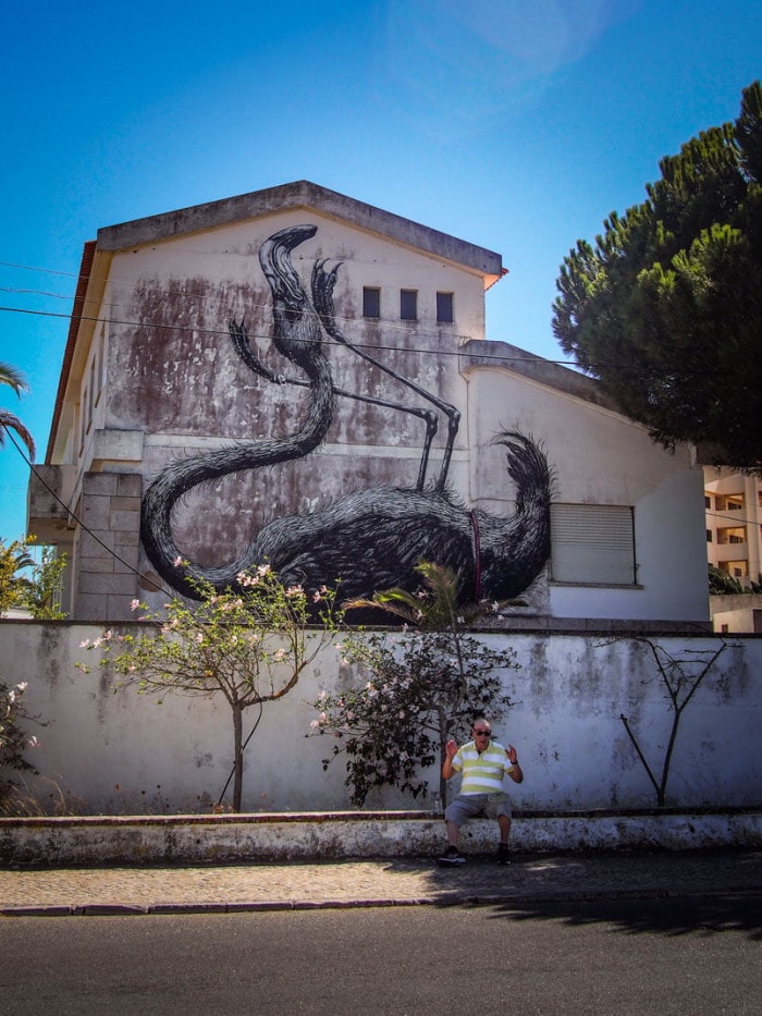 flamant rose sur les murs de lagos street art algarve voyage portugal