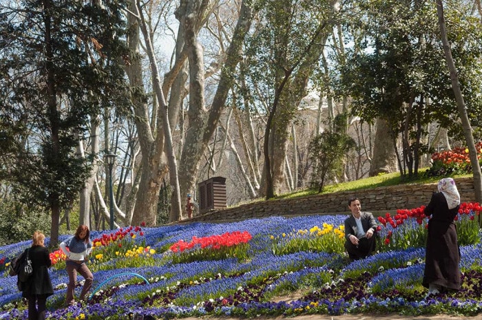 fleurs au parc gulhane conseils que visiter à istanbul