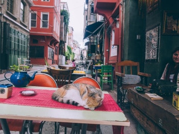 Visiter Fener et Balat à Istanbul